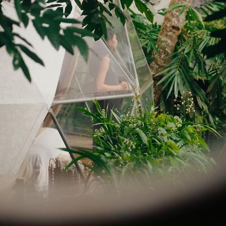 Lintang Luku Tent Resort Ijen, Banyuwangi Banyuwangi  Buitenkant foto