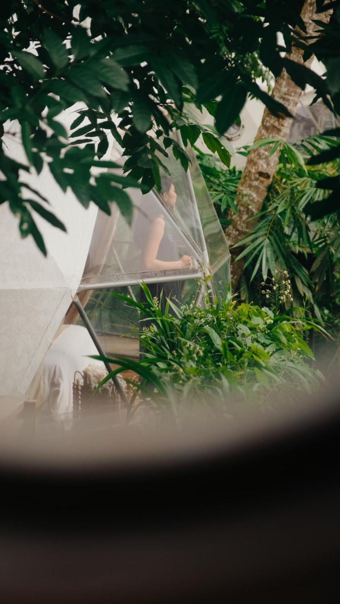 Lintang Luku Tent Resort Ijen, Banyuwangi Banyuwangi  Buitenkant foto
