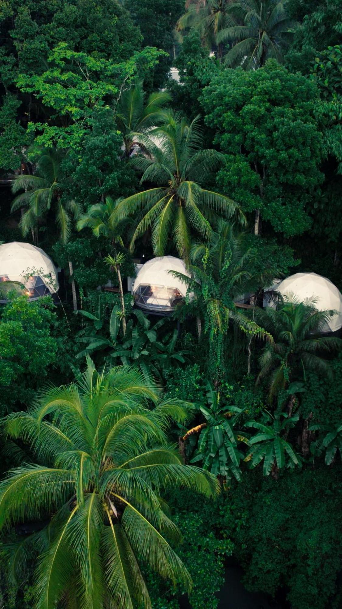 Lintang Luku Tent Resort Ijen, Banyuwangi Banyuwangi  Buitenkant foto